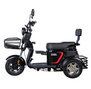 Электротрицикл WHITE SIBERIA SIBTRIKE L 2000W