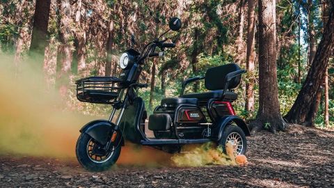 Электротрицикл WHITE SIBERIA SIBTRIKE 2000W